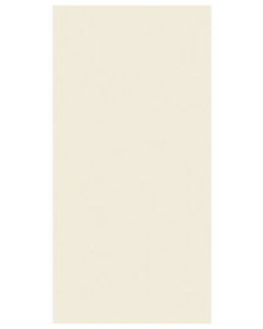 PORCELANATO MATE EL PASO BEIGE 60 X 120 (CAJA 1.44 MTS)