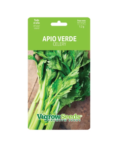SOBRE SEMILLA APIO VERDE 19201029