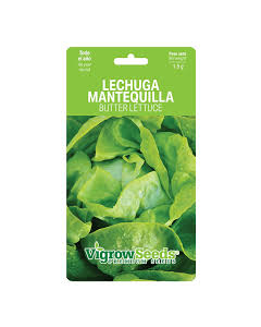 SOBRE SEMILLA LECHUGA MANTEQUILLA 19201016