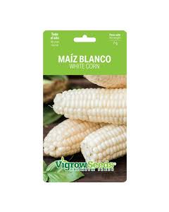 SOBRE SEMILLA MAIZ BLANCO 19201252