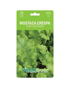 SOBRE SEMILLA MOSTAZA CRESPA 19201018