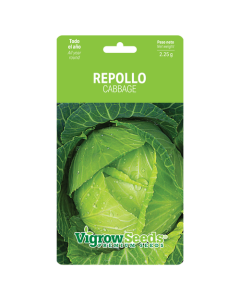 SOBRE SEMILLA REPOLLO 19201024