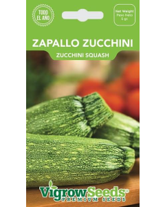 SOBRE SEMILLA ZAPALLO ZUCCHINI 19201020
