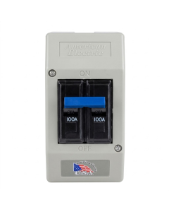 INTERRUPTOR TIPO BREAKER 2 X 100 DFM- BP-2P100A 2 X 100  PARCHE