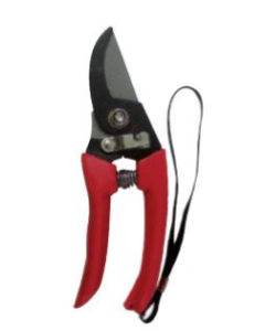 TIJERA DE PODAR J13022 BEST VALUE