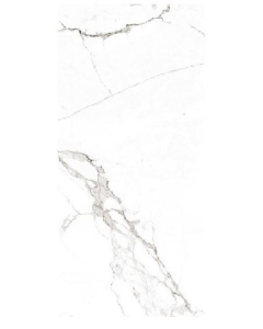 PORCELANATO STATUARIO RECTANGULAR BRILLANTE 60 X 120 (CAJA 1.46 MTS)